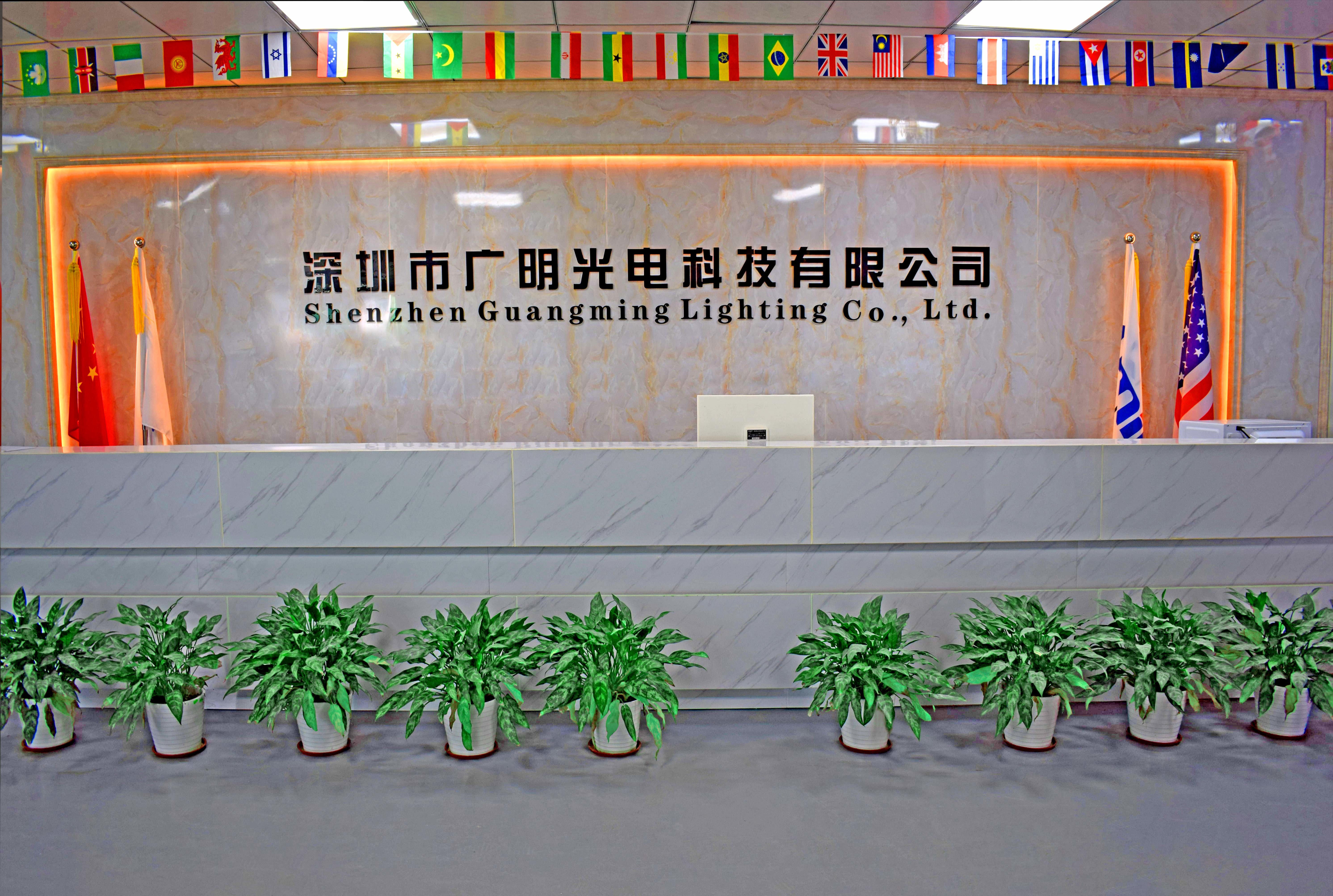 Chiny Shenzhen GM lighting Co.,Limited. profil firmy